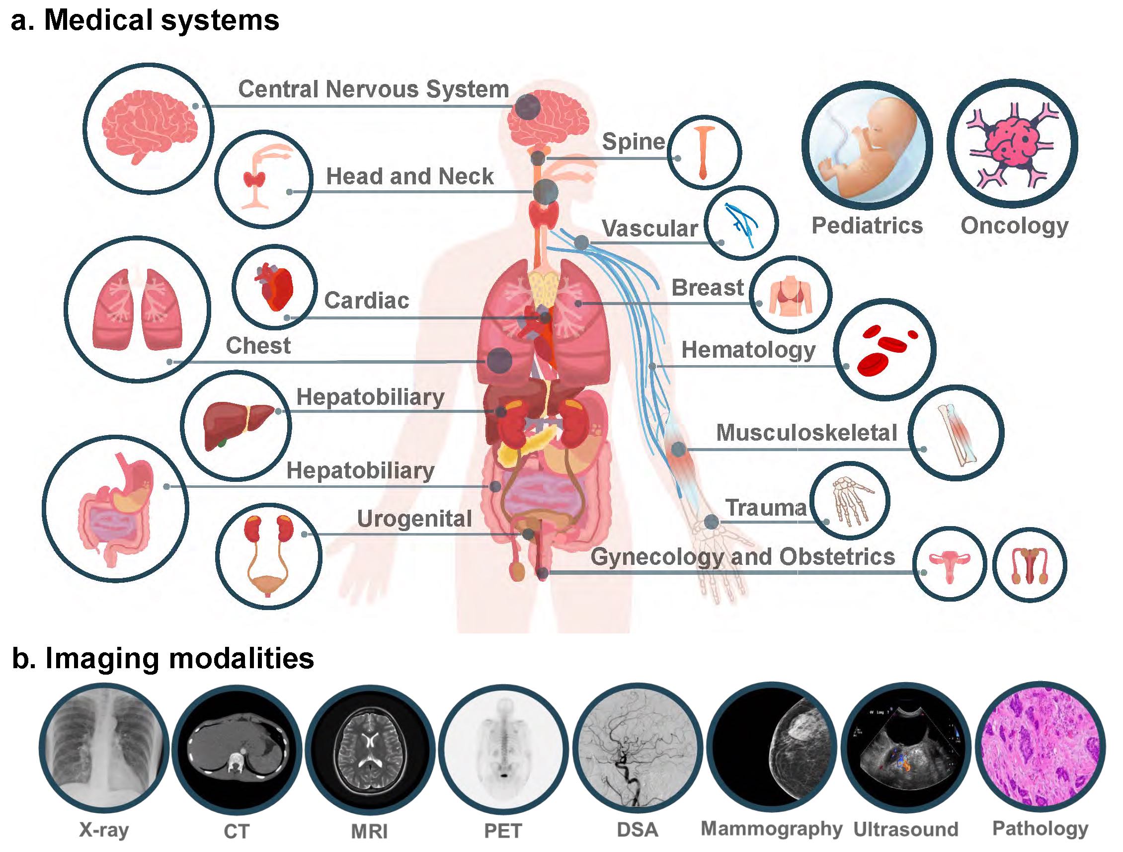 178 Pages! GPT-4V (Vision) in Healthcare: The First Comprehensive Case Evaluation 