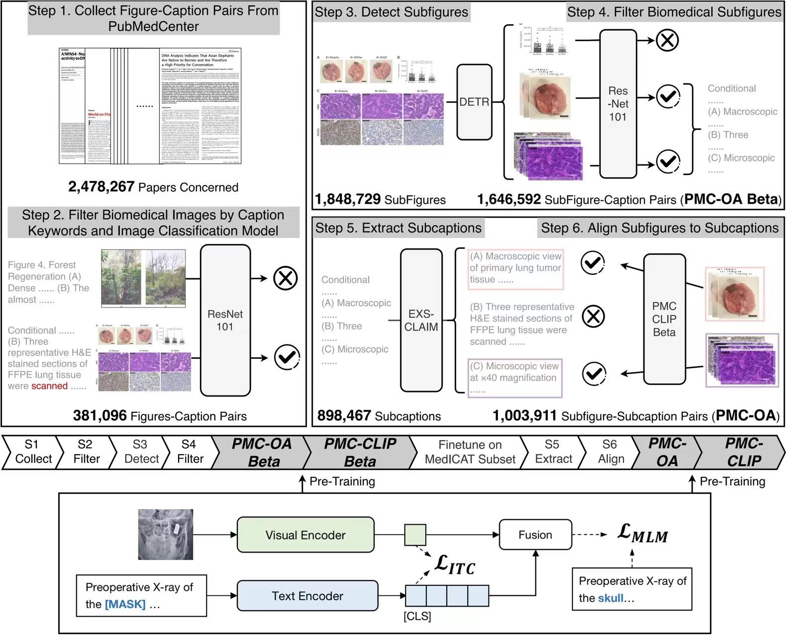 PMC-CLIP: A Multimodal Foundation Model for Medical Literature